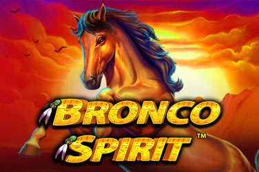 Bronco spirit game