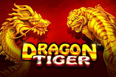 Dragon tiger Slot game