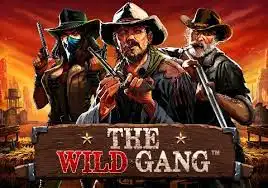 The Wild Gang game