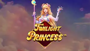 Twilight Princess game