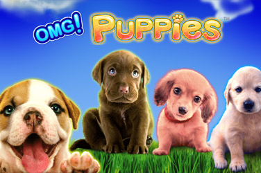 Omg puppies game