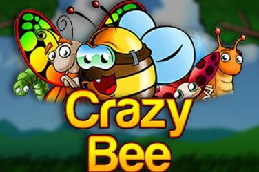 Crazy Bee game
