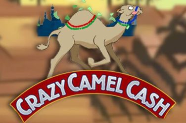 Crazy Camel Cash game