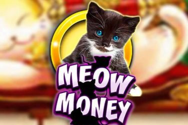 Meow Money