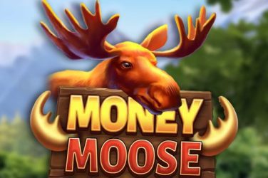Money Moose game